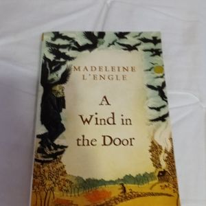 A wind in the door